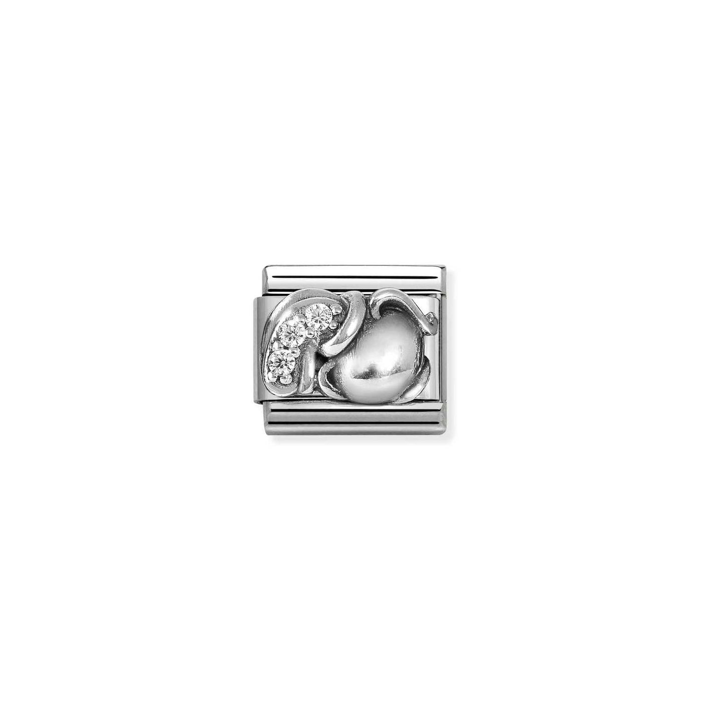 Nomination Steel Sterling Silver Cubic Zirconia Aquarius Charm