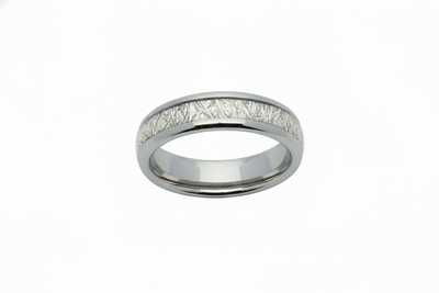 Tungsten Carbide Ring with Meteorite Paper Inlay