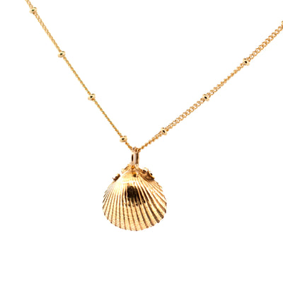 Dainty London 9ct Gold Seashell Necklace