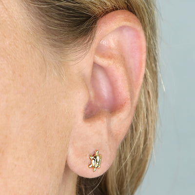 18ct Gold Vermeil Small Turtle Stud Earrings