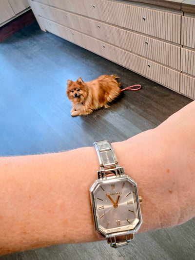 Nomination Paris Silver Rectangular Watch