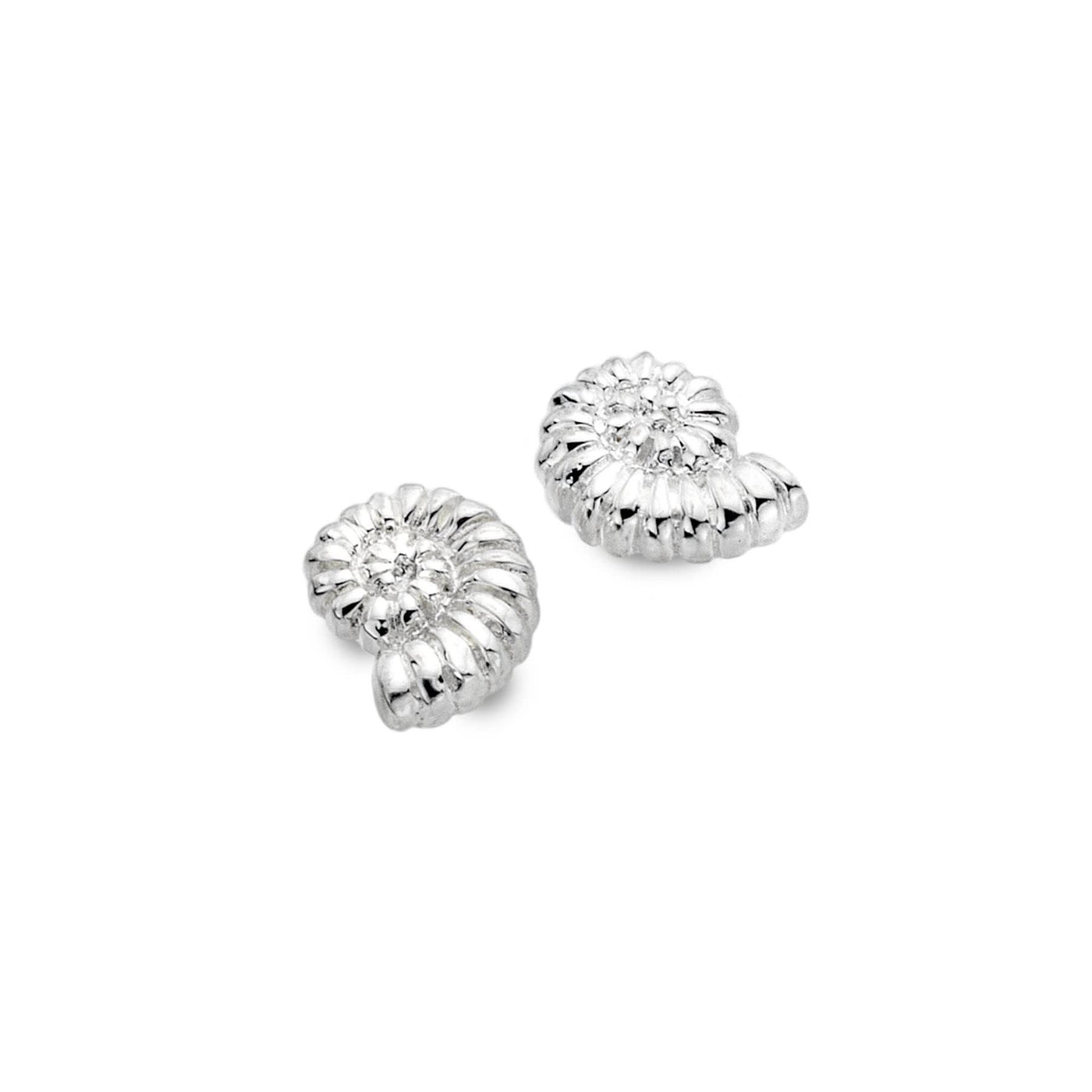 Ammonite Shell Stud Earrings - Rococo Jewellery