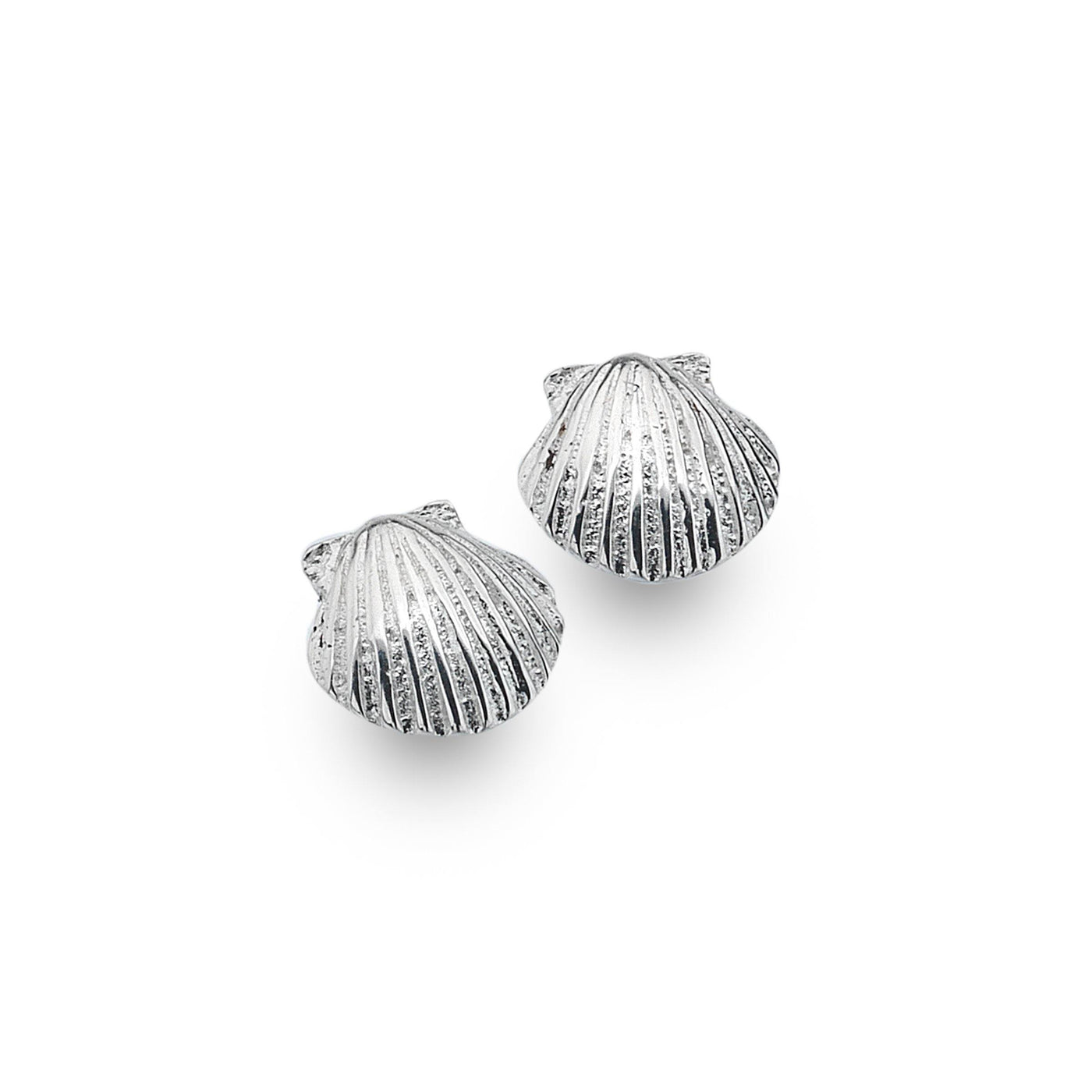 Baby Scallop Shell Stud Earrings in Sterling Silver - Rococo Jewellery
